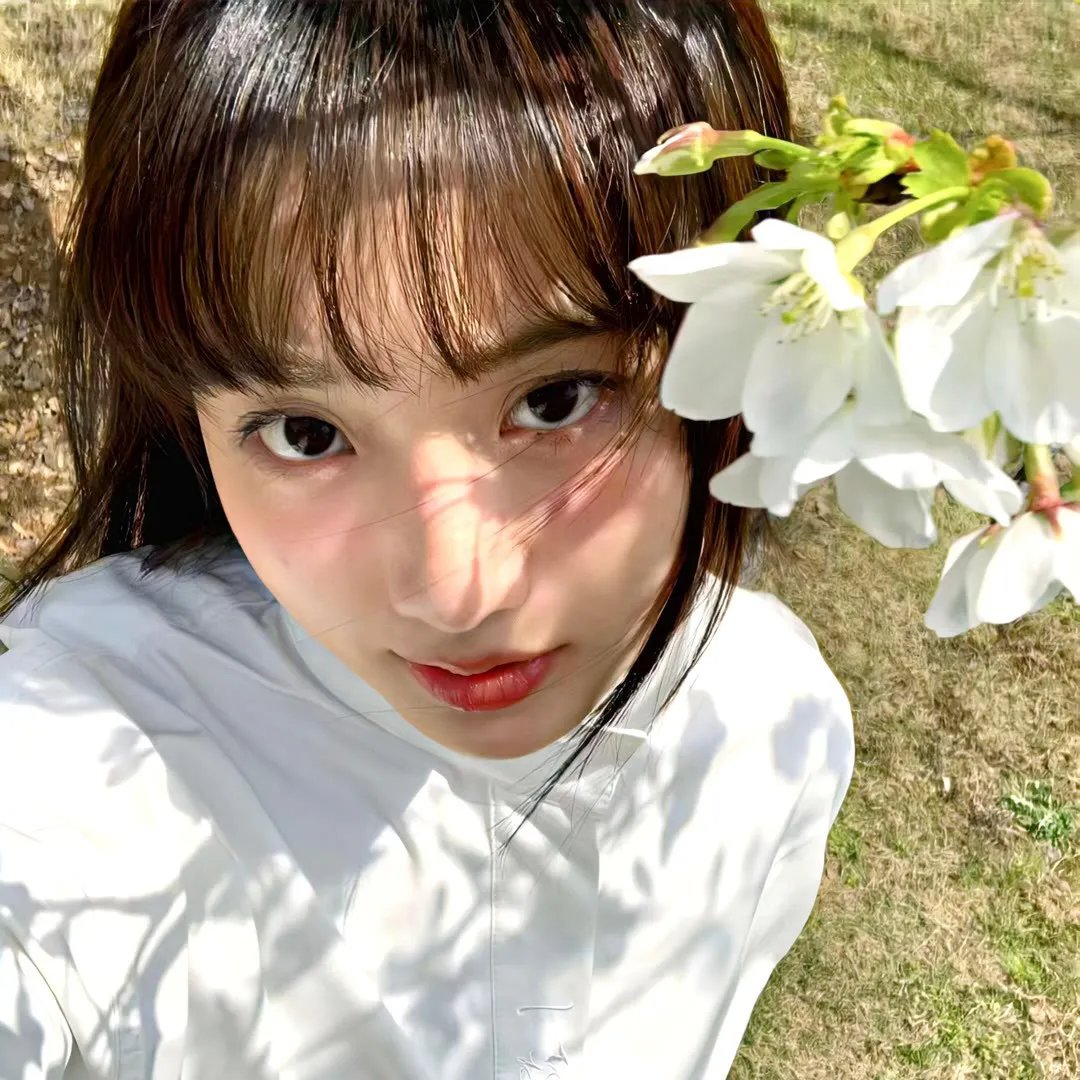 花花公子吉米